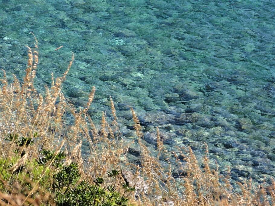 Appartamento Sunny Courtyard Piombino Esterno foto