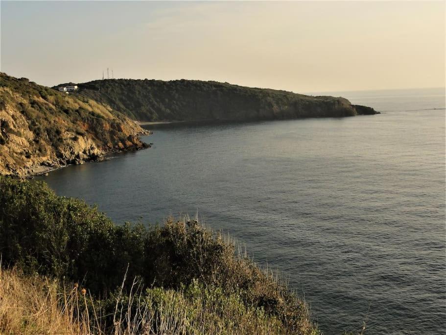 Appartamento Sunny Courtyard Piombino Esterno foto