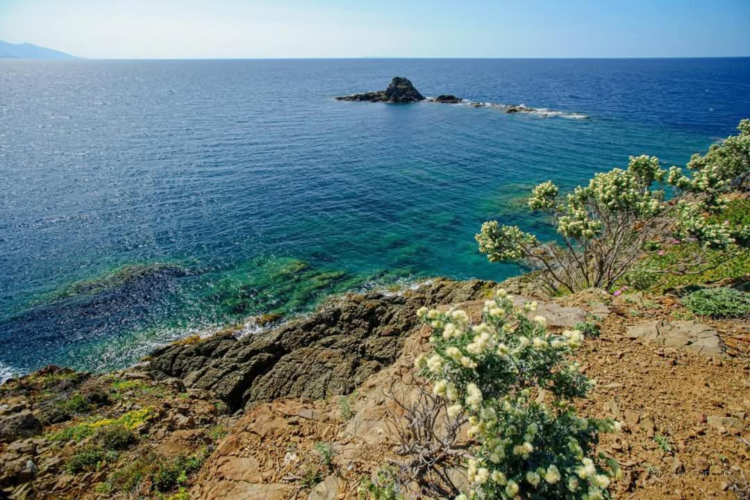 Appartamento Sunny Courtyard Piombino Esterno foto