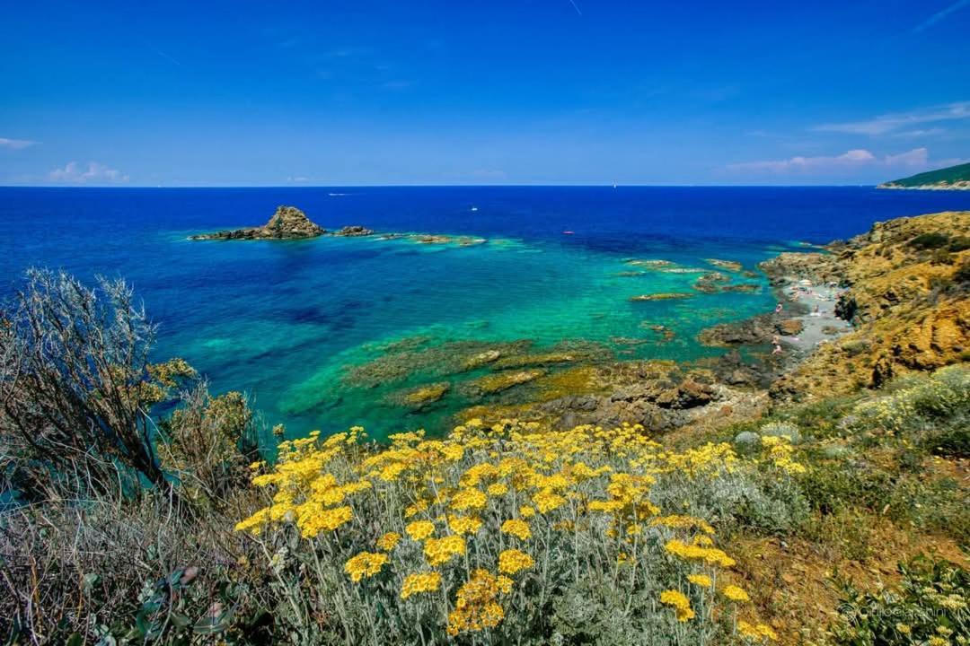 Appartamento Sunny Courtyard Piombino Esterno foto